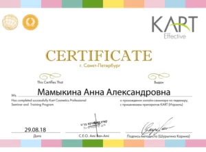 Сертификат_АННА МАМЫКИНА 12