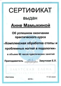 Сертификат_АННА МАМЫКИНА 15