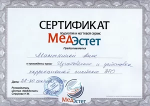 Сертификат_АННА МАМЫКИНА 16